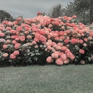 Meet your Posher, Mia